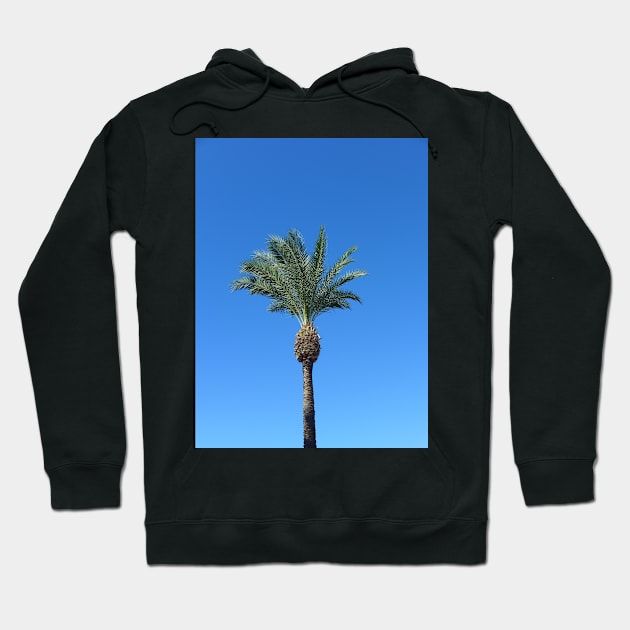 Single Palm Tree with Blue Sky2 Hoodie by Sandraartist